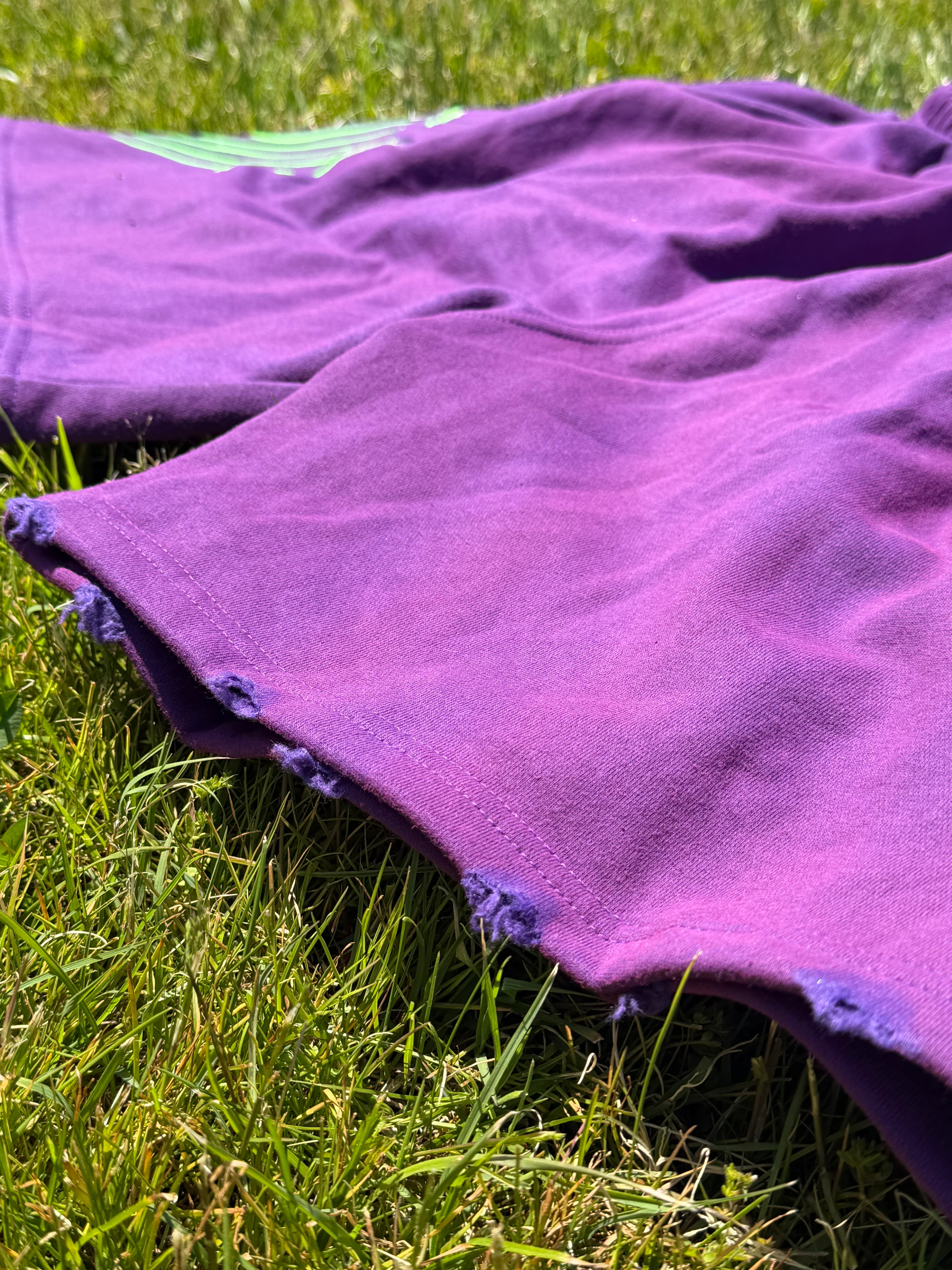 528 Amethyst Shorts
